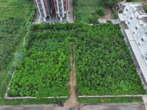 Biodiversity-Management4-RESIZE